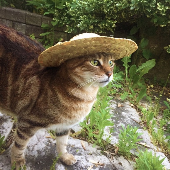 melindameinert